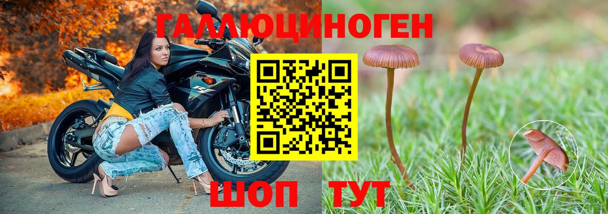 Псилоцибиновые грибы прущие грибы  Вход с VPN  Галлюциногенные грибы мицелий  Кушва 