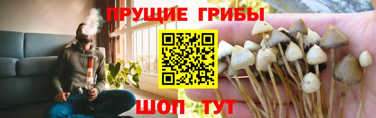 Псилоцибиновые грибы ЛСД Кушва